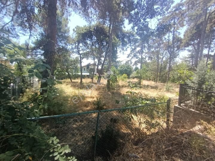 Ena Group Bursa Mudanya Çağrışan'da 1200 M2 Villa İmarlı Arsa - Görsel 6