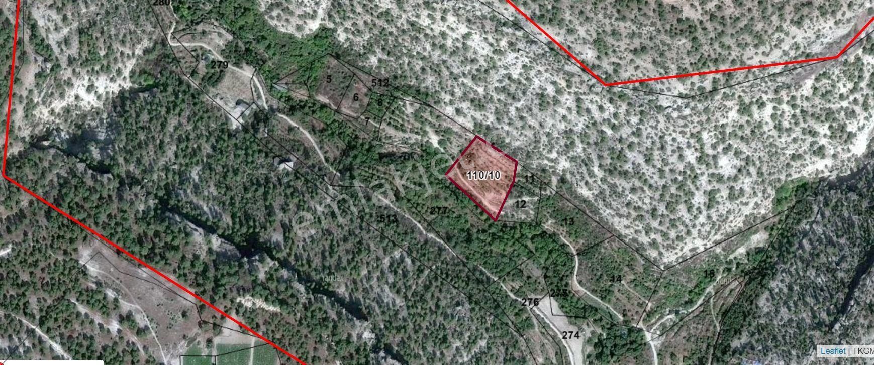 Satılık Bahçe 5242m2 Pamuklu Köyü Mut Mersin - Görsel 3
