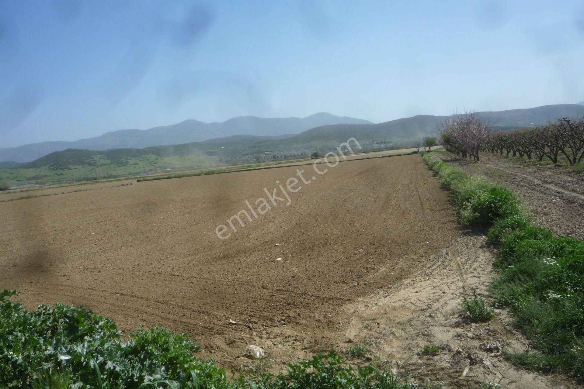 İzmir Torbalı Gold Emlaktan Satılık Kıymetli Tarla... - Görsel 2
