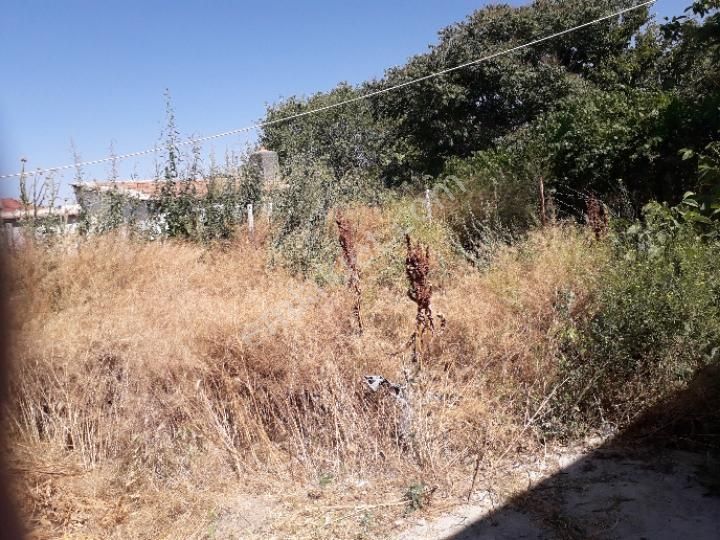 Konya Sarayönü Mah.631 M2.arsa İçınde Satılık Müstakıl Bahçeli Ev - Görsel 18