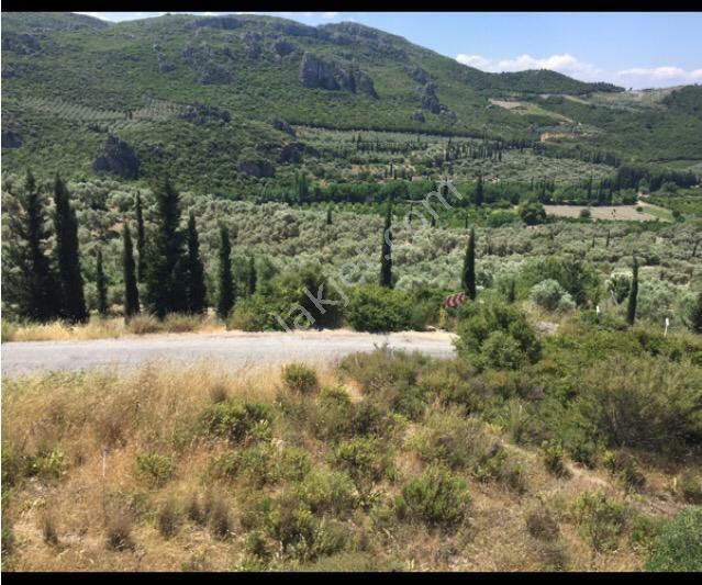 Aydın Kuşadası Satılık Hastane (Sağlık Tesisi)  KUŞADASIN DA SOSYAL TEYSIZ İÇİN DEV YATIRIM BÜYÜK UYDU KENT 500 DÖNÜM 