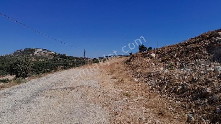 Yayladağı Şenköy Satılık Konut İmarlı ŞENKÖY DE ANTAKYA YAYLADAĞI YOLUNA 50 METRE MESAFEDE 1019 M2 2 KAT KONUT İMARLI