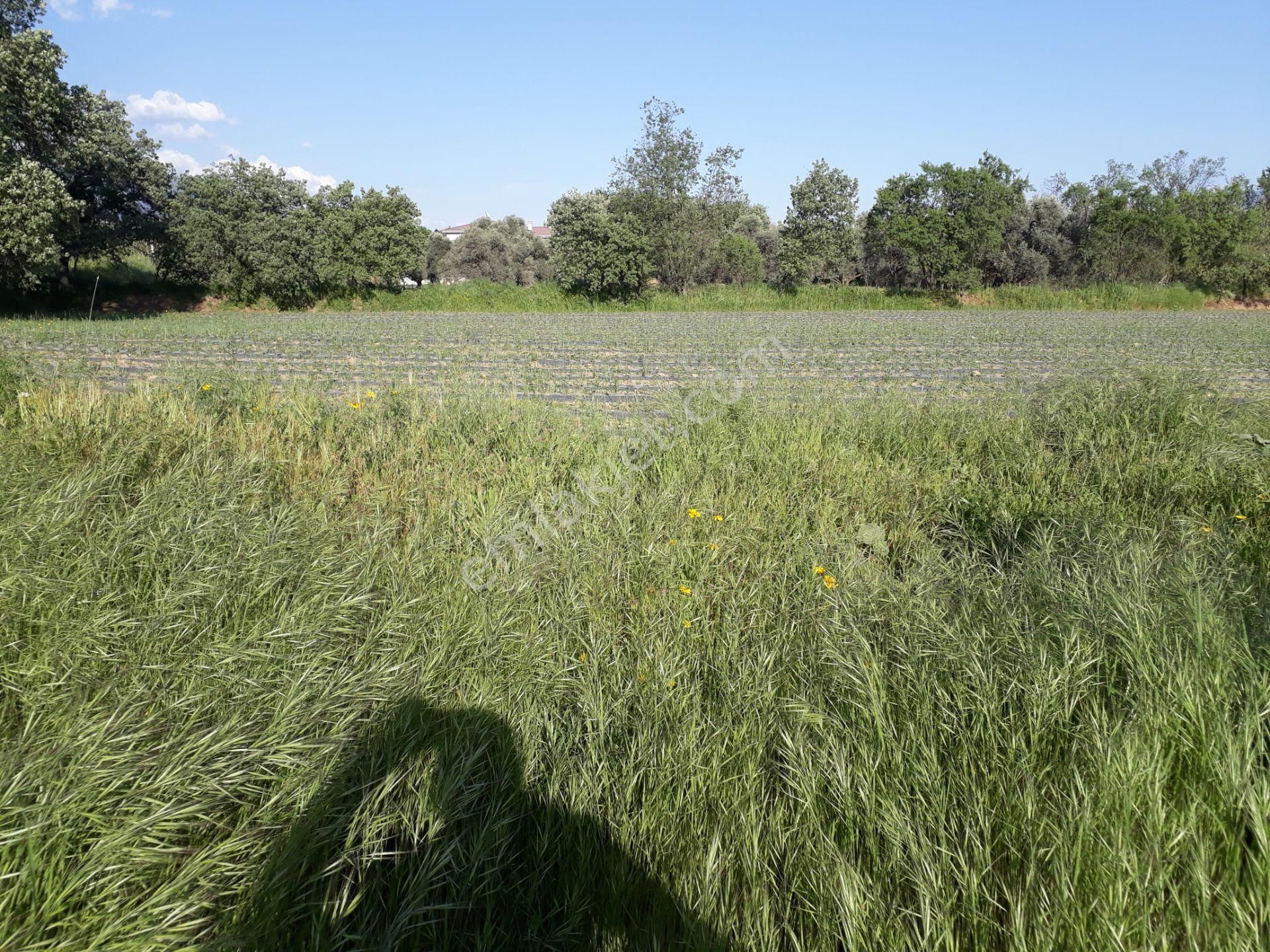 Bozyurt Mah De Kat Karşılığı Arsa - Görsel 12