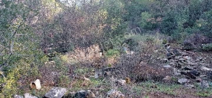 Kalinagil Mah Milas - Görsel 11