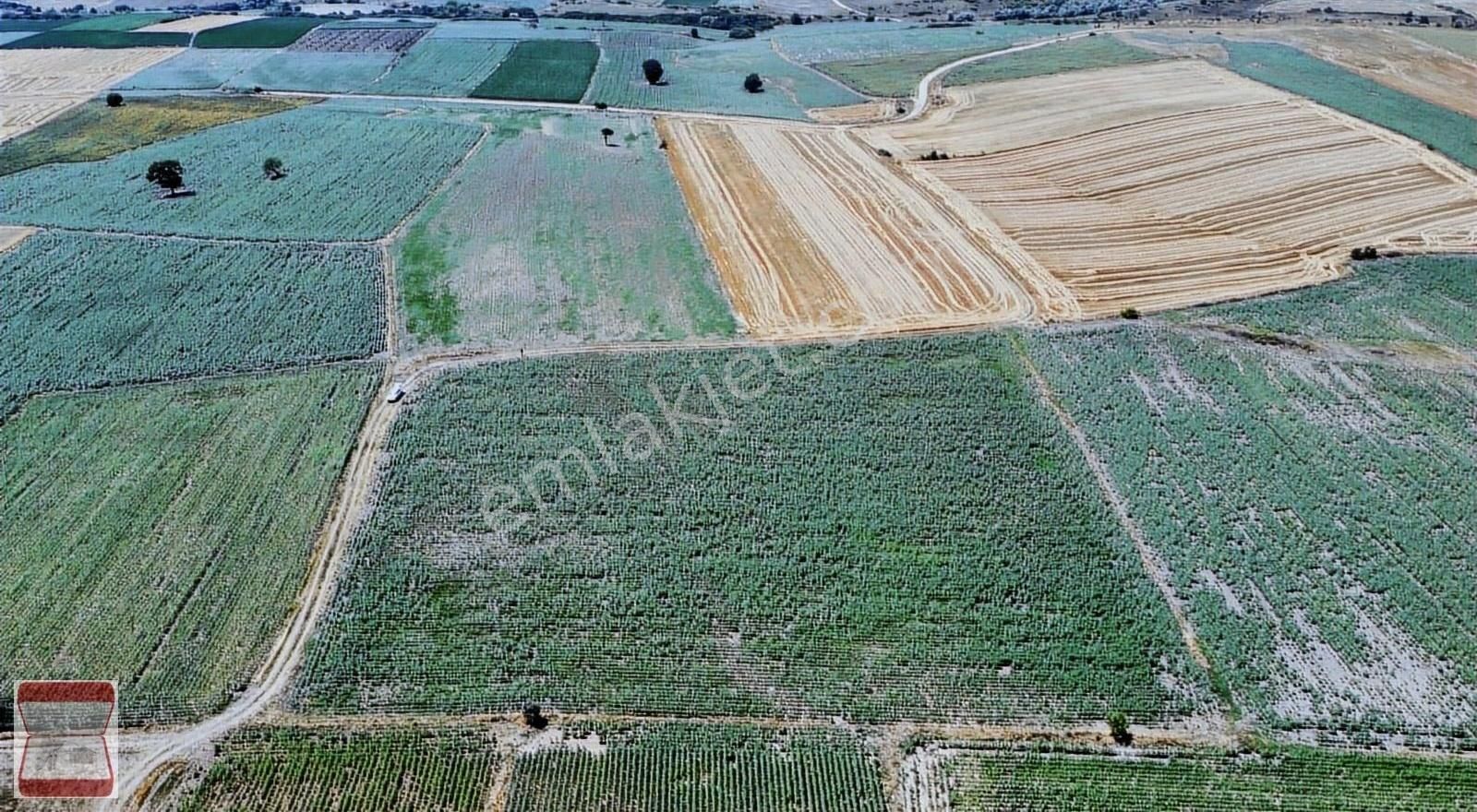 Kırklareli Merkez Dolhan Köyü Satılık Tarla Kırklareli Merkez Dolhan Köyü İki Tarafı Resmi Yol Satılık Tarla