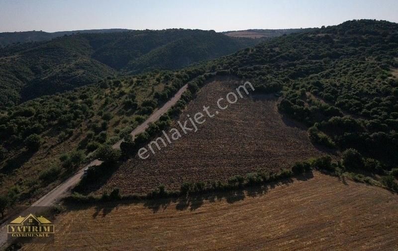 Ayvacık Çakmaklar Köyü Satılık Tarla ÇANAKKALE AYVACIK ÇAKMAKLAR KÖYÜNDE SATILIK TARLA