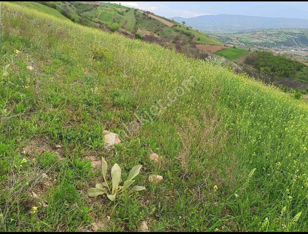 Tokat Erbaa Koçak Yolunda 7633 M2 Bağ Tarla - Görsel 15