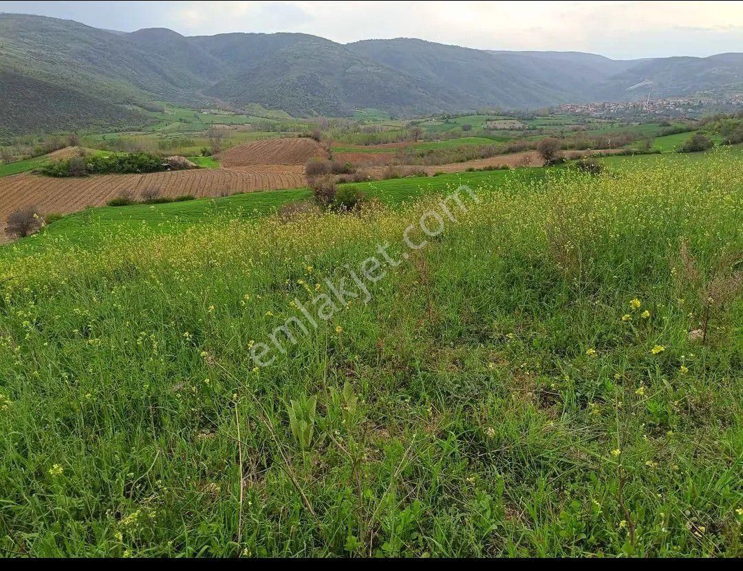 Tokat Erbaa Koçak Yolunda 7633 M2 Bağ Tarla - Görsel 14
