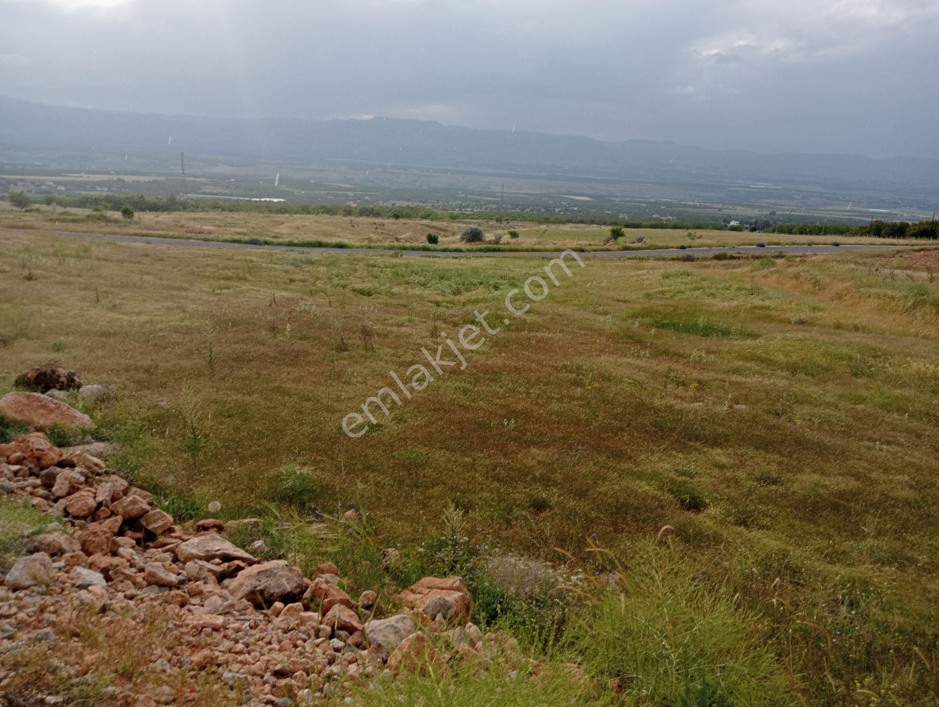 Yeşilyurt Kırlangıç Satılık Arazi Cumhuriyet Örneköyünde 26000 M² Kanala Cephe Arazi