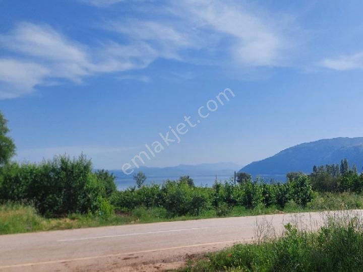 Senirkent Akkeçili Köyü (Kuzyaka) Satılık Muhtelif Arsa Sahibinden Ana Yol Üzeri Göl Manzaralı Arsa