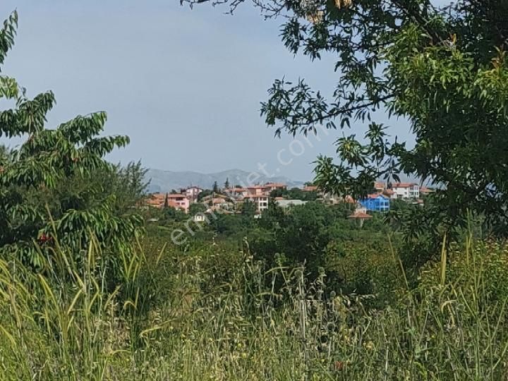 Sahibinden Ana Yol Üzeri Göl Manzaralı Arsa - Görsel 2