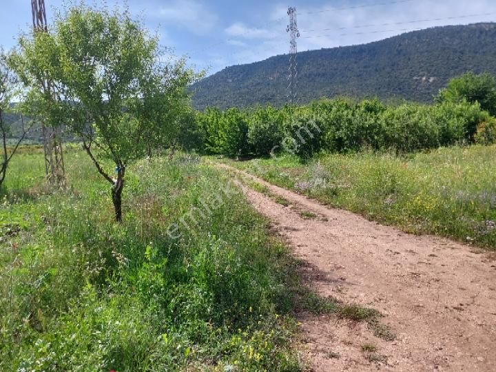 Sahibinden Ana Yol Üzeri Göl Manzaralı Arsa - Görsel 3
