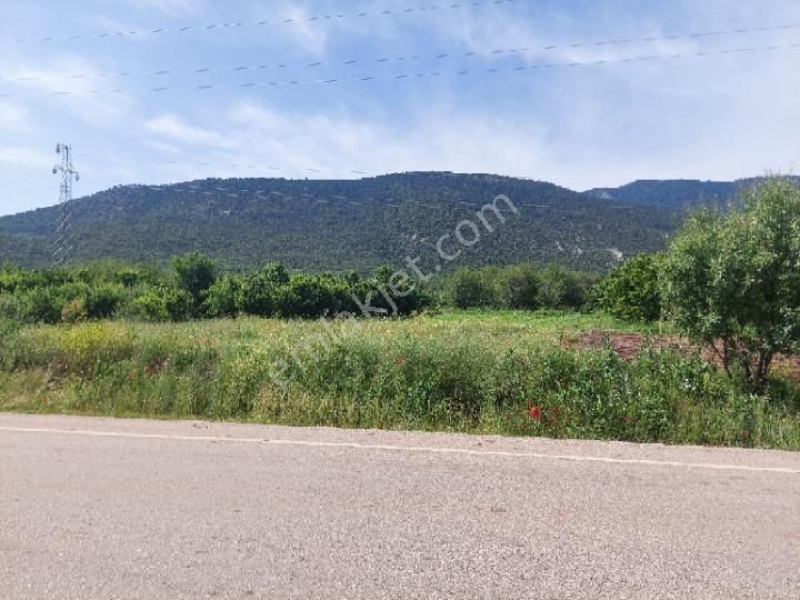Sahibinden Ana Yol Üzeri Göl Manzaralı Arsa - Görsel 7