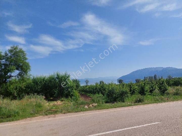 Sahibinden Ana Yol Üzeri Göl Manzaralı Arsa - Görsel 4