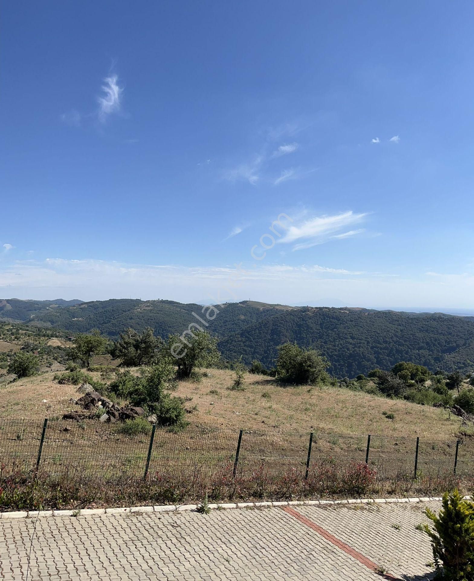 Güzelbahçe Payamlıda Satılık Muhteşem Lokasyonda Ev Ve Arazi - Görsel 12