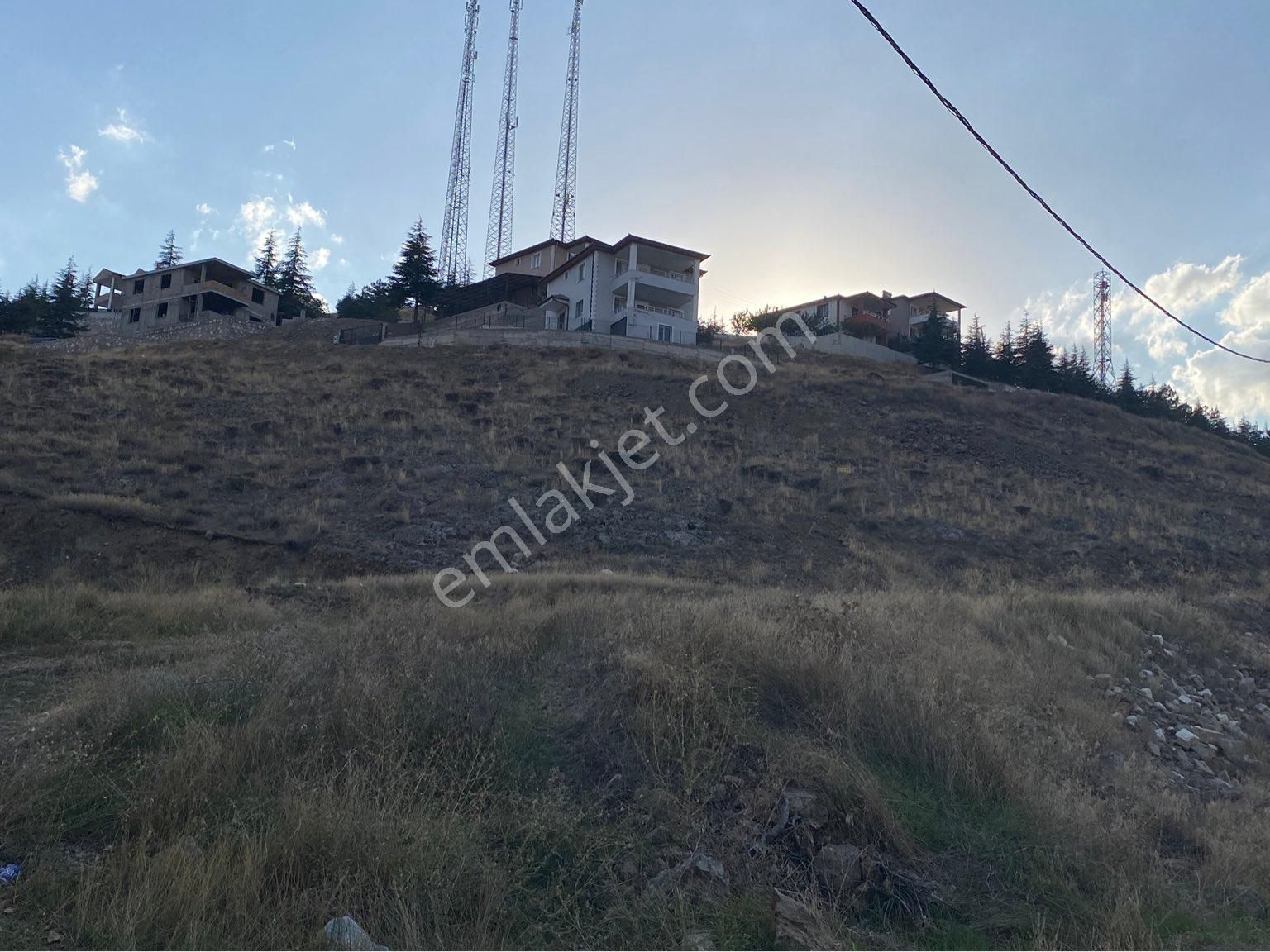 Ulukışla Kemalpaşa Mah. Yüzbaşı Mevkii Arsa - Görsel 11