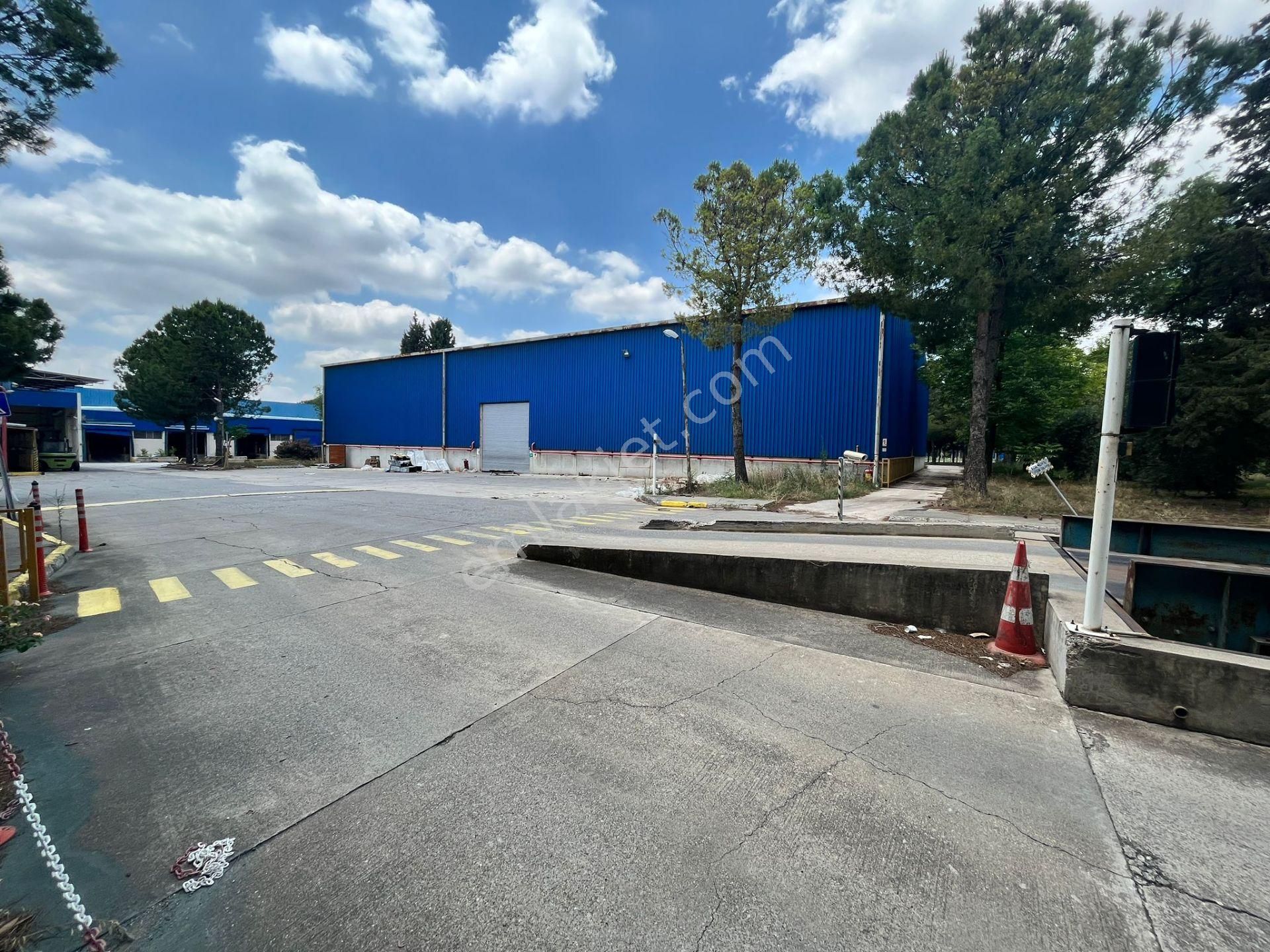 Zorlu Gayrimenkul Organize Sanayi Bölgesinde 46.727m2 Satılık - Görsel 12