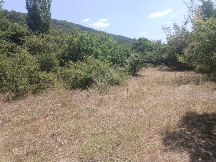 Bornova Yaka 430 M2 Tapulu Arsa