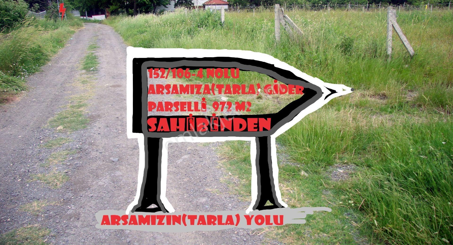 Çatalca Gökçeali'de Etrafı Sıralı Orman. - Görsel 21