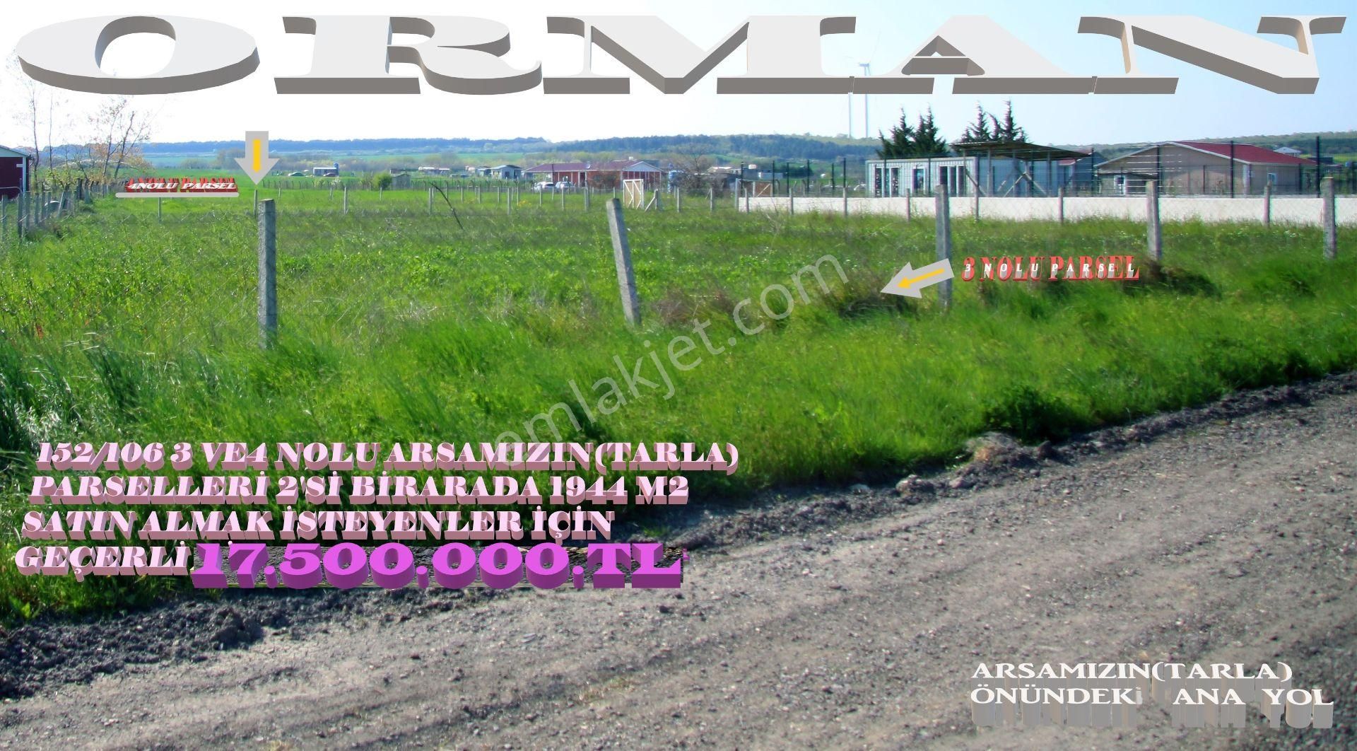 Çatalca Gökçeali'de Etrafı Sıralı Orman. - Görsel 16