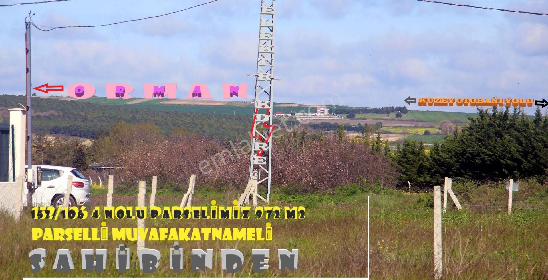 Çatalca Gökçeali'de Etrafı Sıralı Orman. - Görsel 2