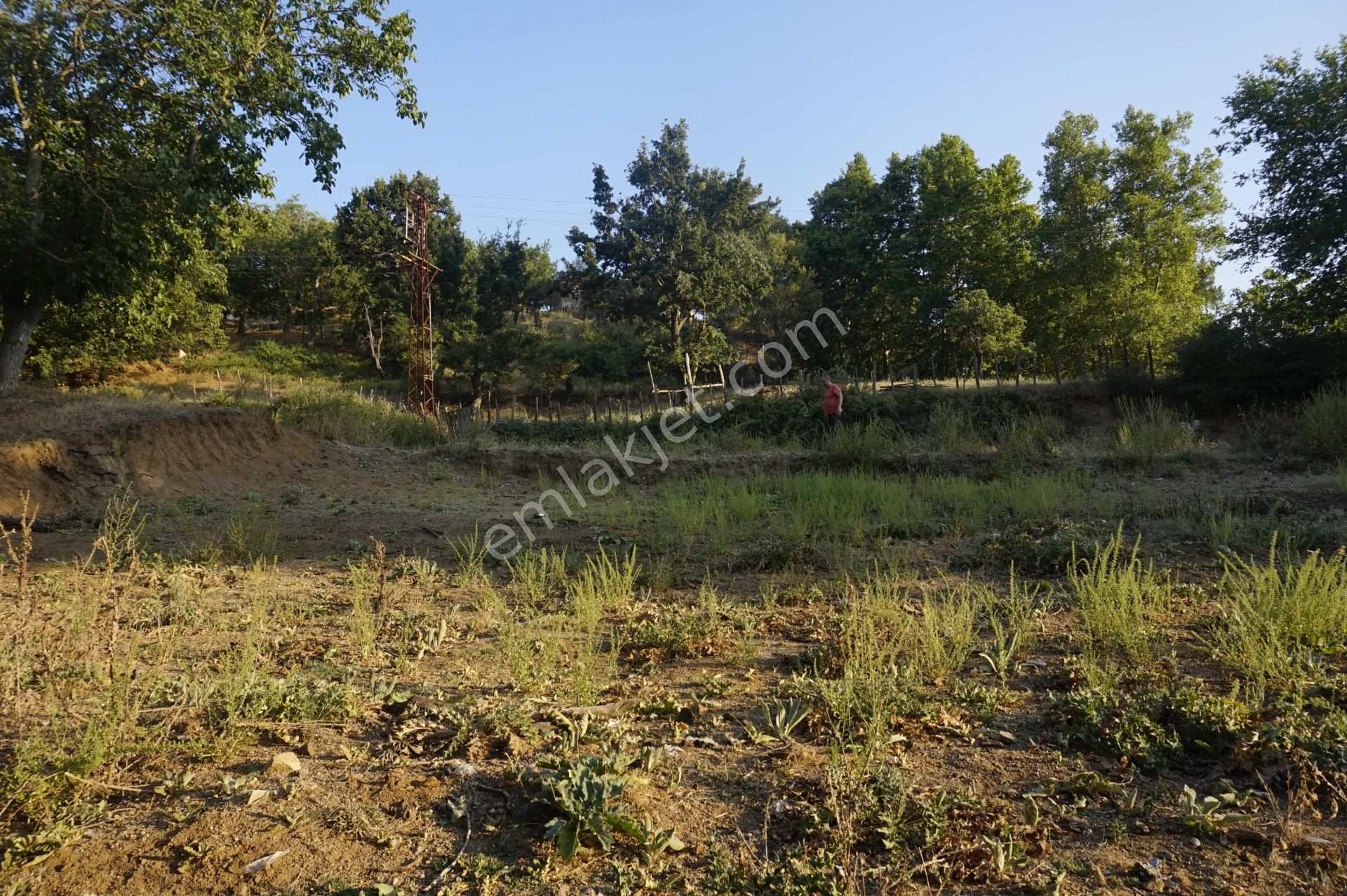 Çanakkale Bayramiç Serhat Köyü 592 M2 % 80 İmarlı Arsa - Görsel 8