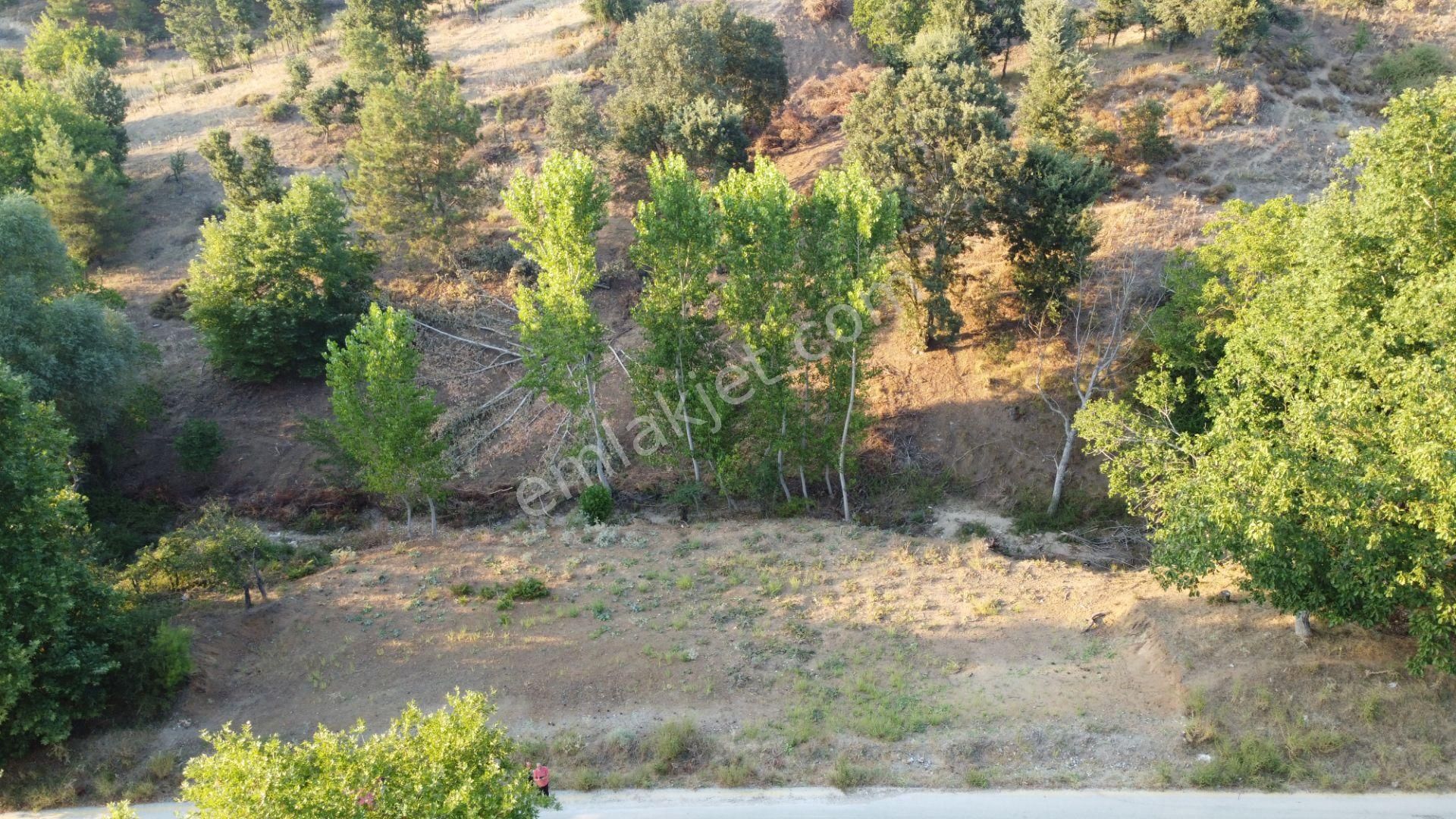 Çanakkale Bayramiç Serhat Köyü 592 M2 % 80 İmarlı Arsa - Görsel 26