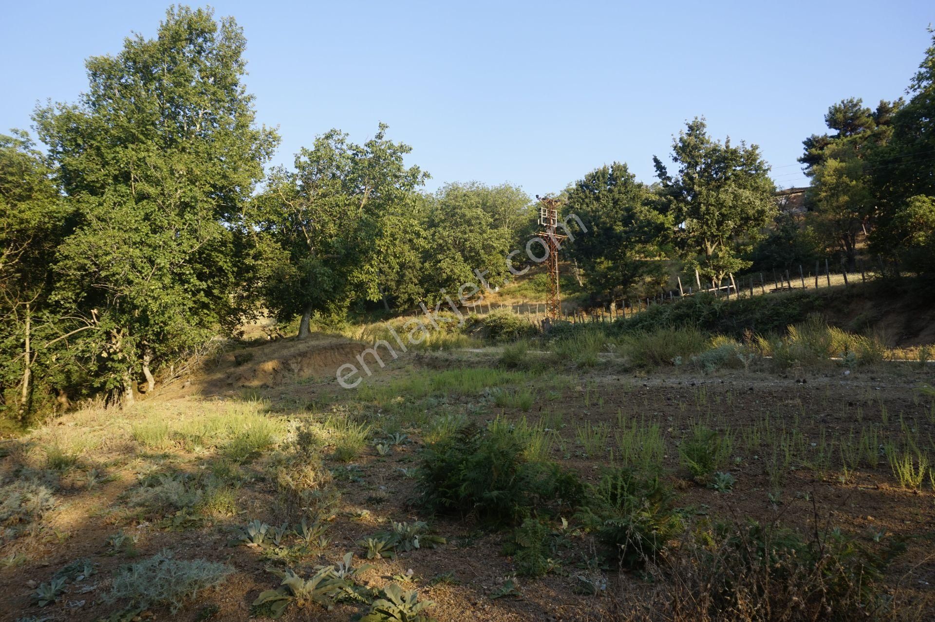Çanakkale Bayramiç Serhat Köyü 592 M2 % 80 İmarlı Arsa - Görsel 6