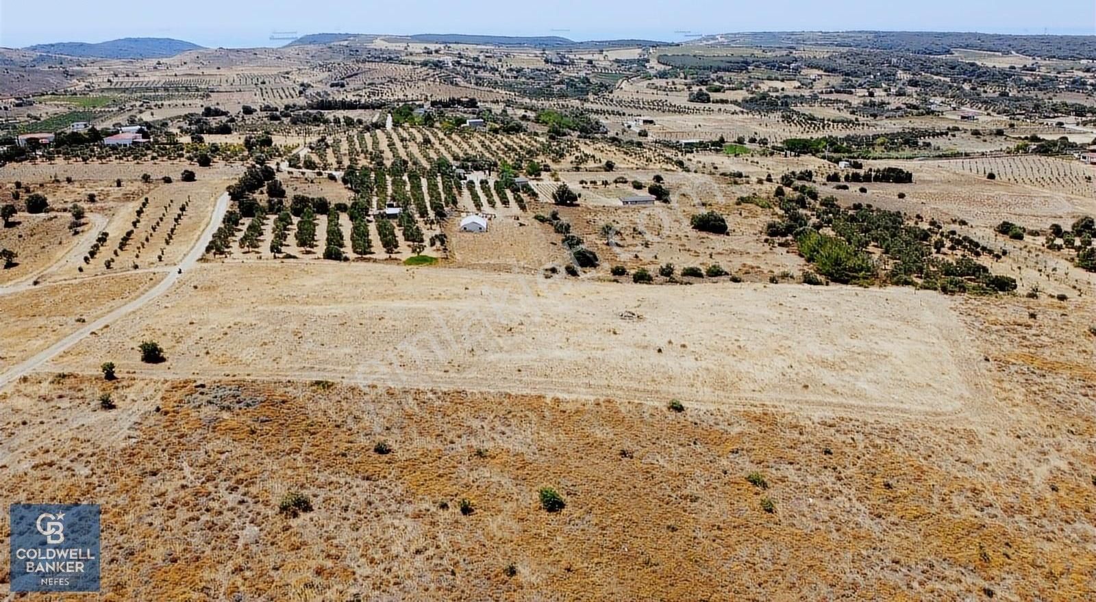 Bozcaada Alaybey Satılık Tarla BOZCAADA AYAZMA YOLUNDA ÇİFT CEPHEDEN DENİZ GÖREN TARLA