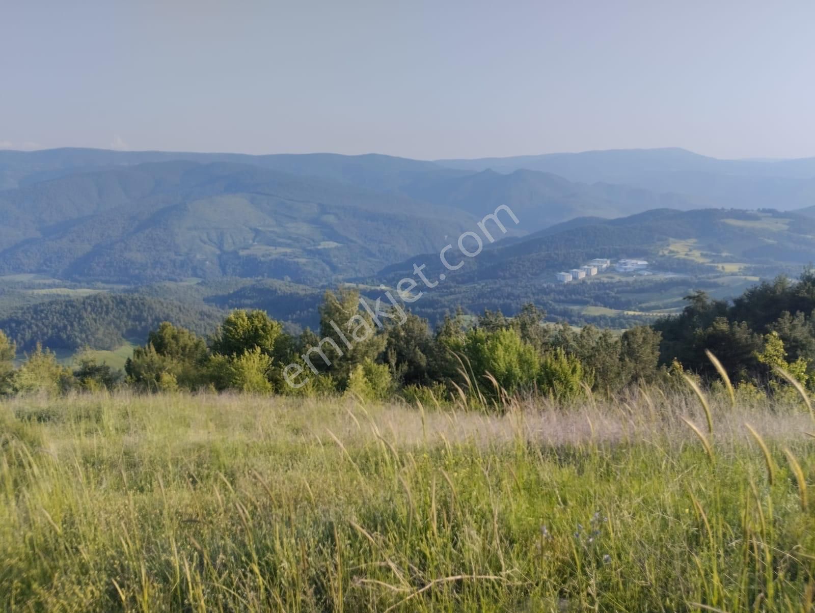 Taraklı Hacıyakup Satılık Tarla Taraklıda Satılık Arsa