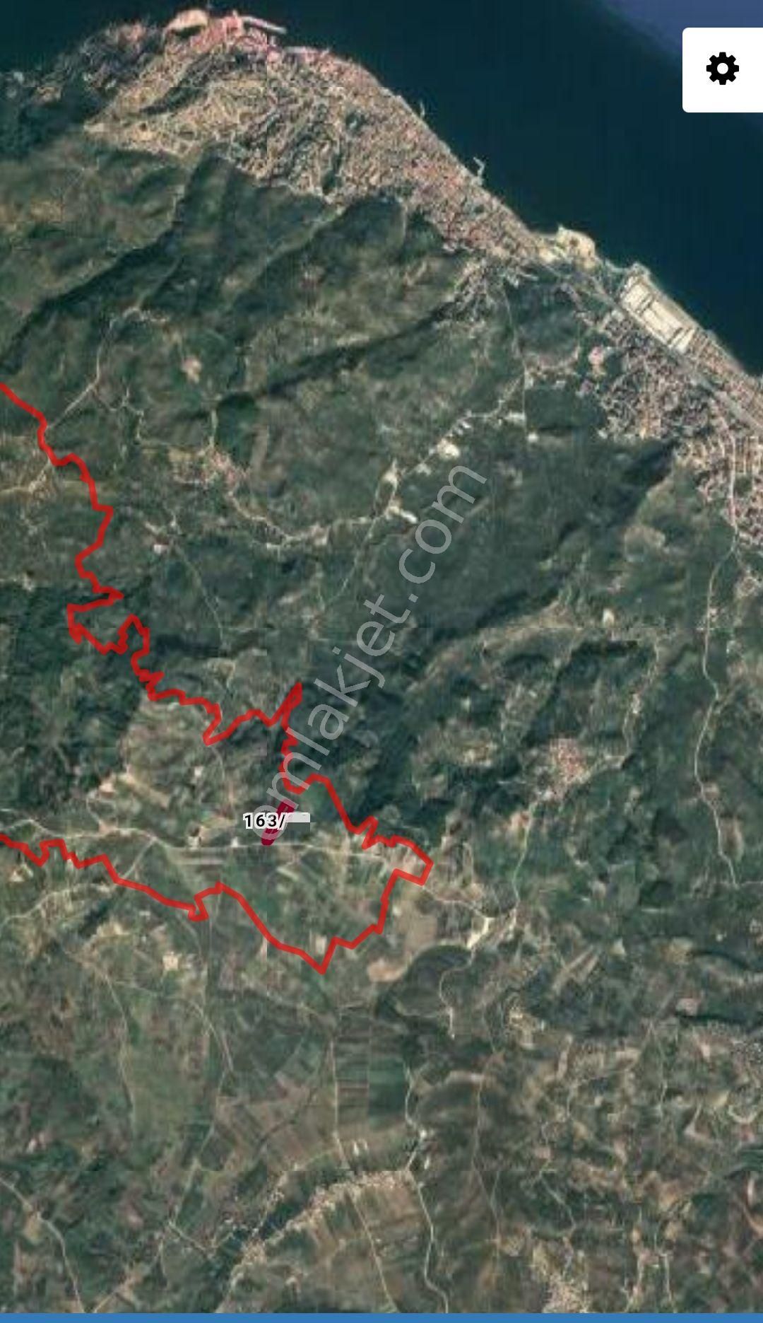 Ena Group Bursa Mudanya Çepni'de Asfalta Cephe 14443 M2 Bahçe - Görsel 3