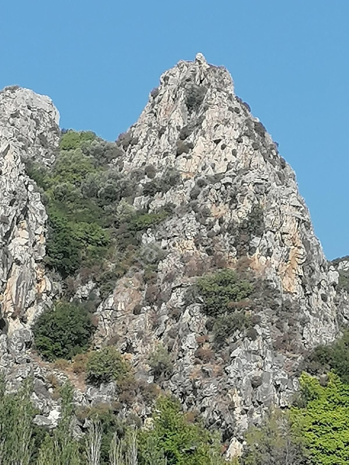 Güllübahçe Mah.sökede Satılık Bahçe - Görsel 2