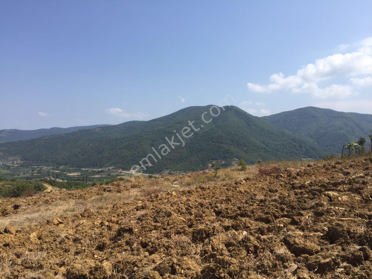 Satılık Yalova Çınarcık Senkoyde Villa İmarli Arsa - Görsel 5