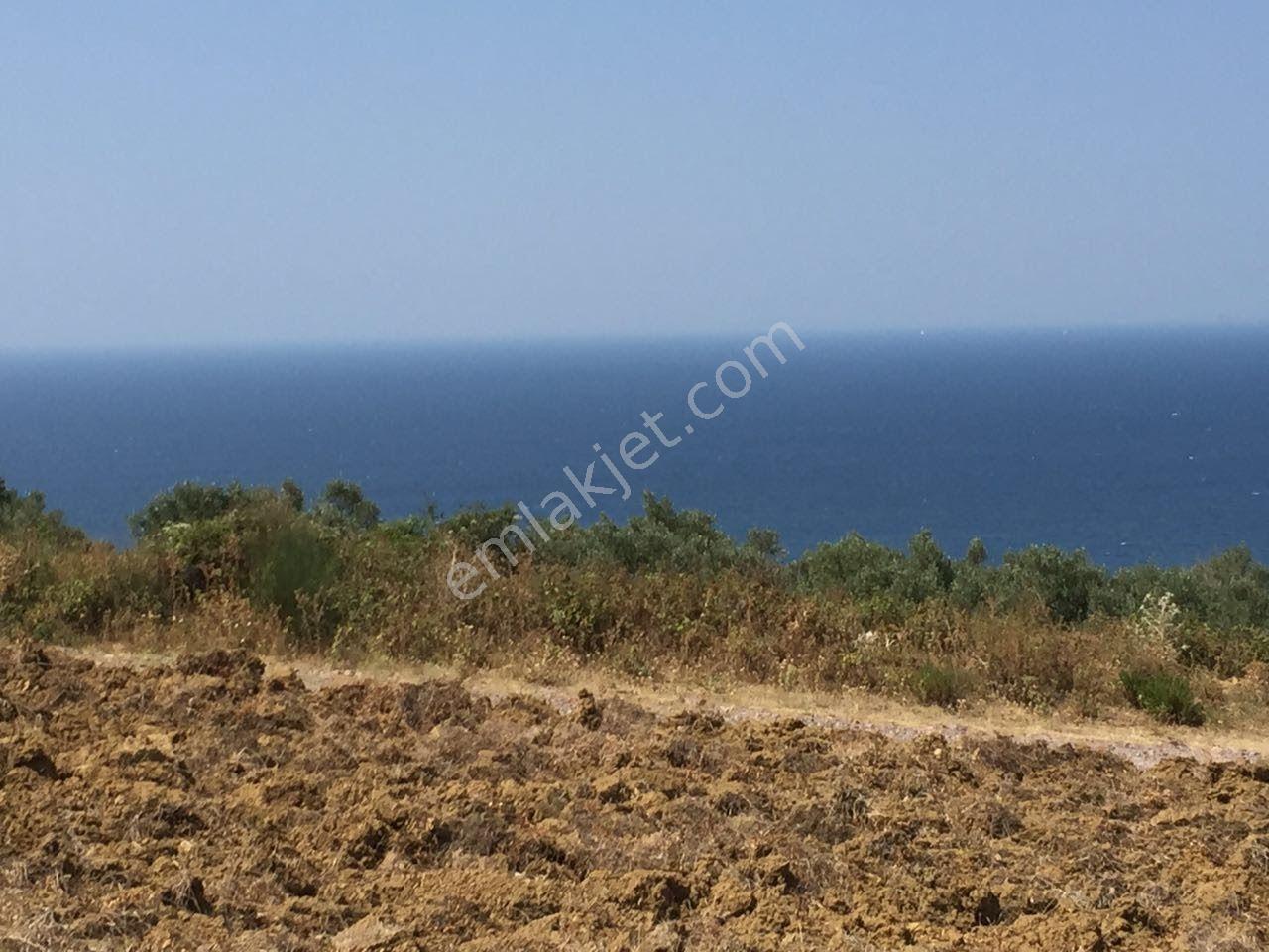 Satılık Yalova Çınarcık Senkoyde Villa İmarli Arsa - Görsel 3