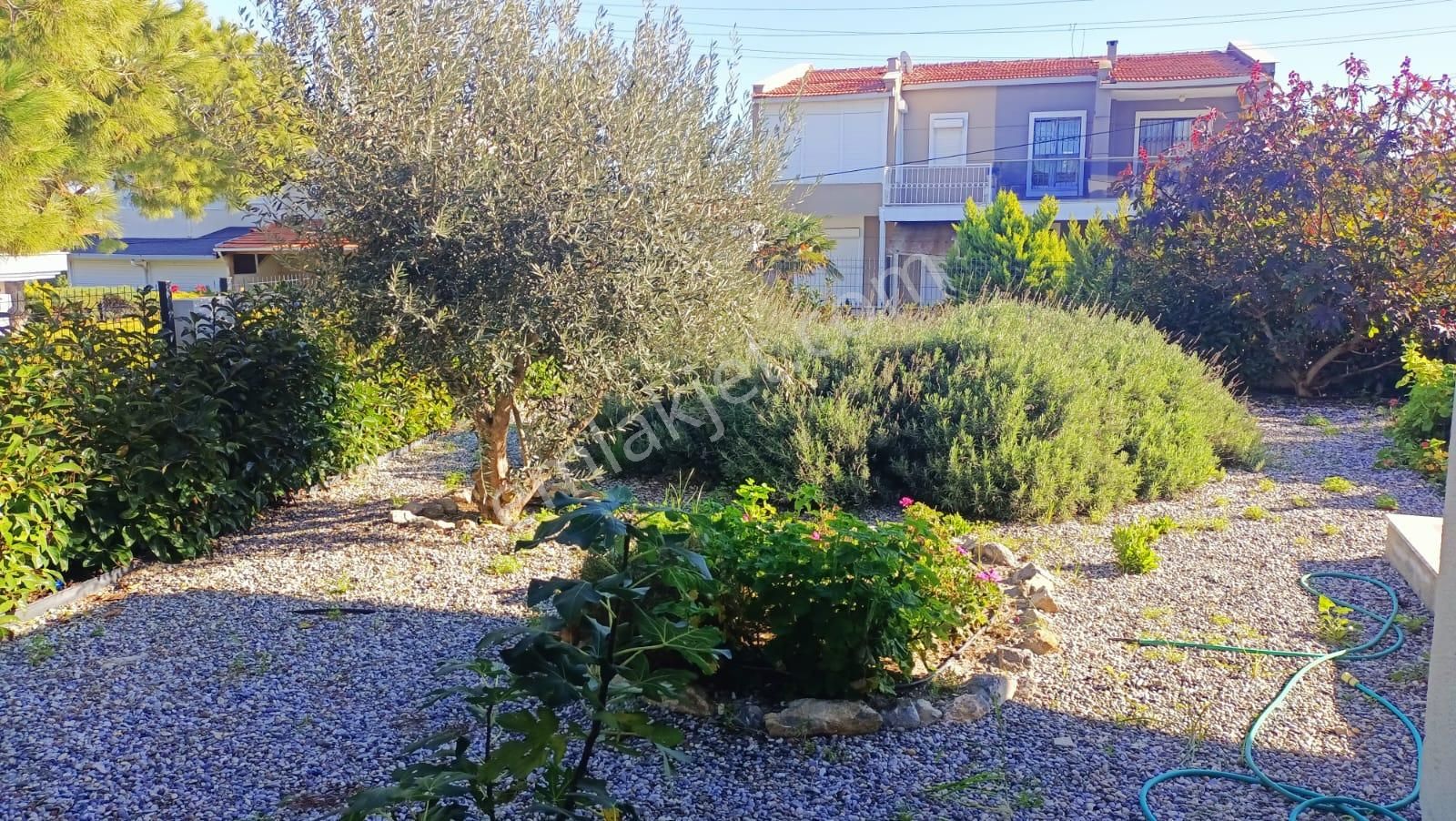 Alaçatı Gayrimenkulden Dalyan Marina Yakını Sezonluk Kiralık Villa. - Görsel 5