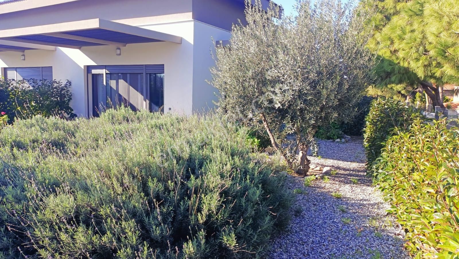 Alaçatı Gayrimenkulden Dalyan Marina Yakını Sezonluk Kiralık Villa. - Görsel 7