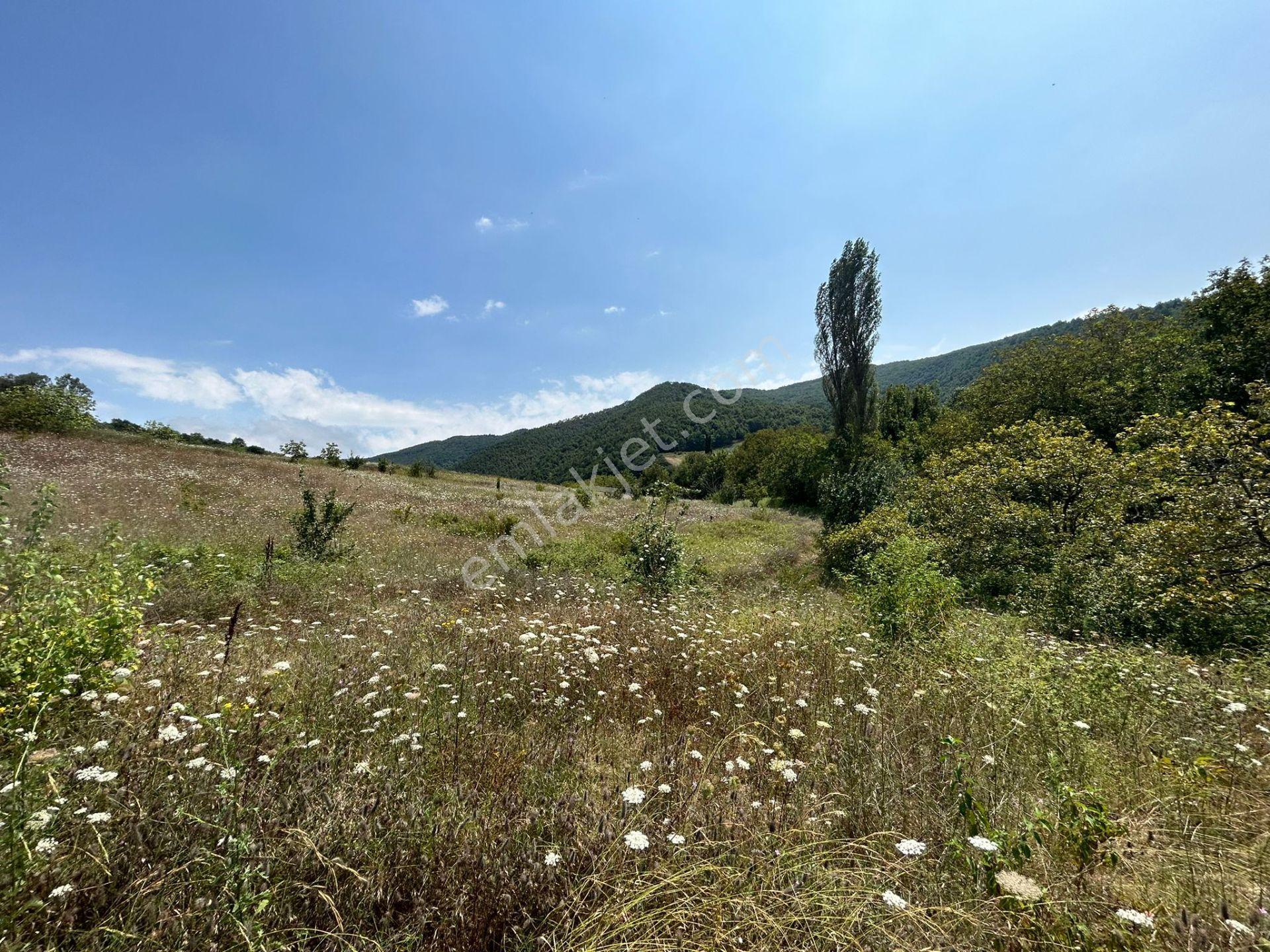 Kocaeli Karamürsel Akçat'da 8362 M2 Satılık Yatırımlık Tarla - Görsel 5