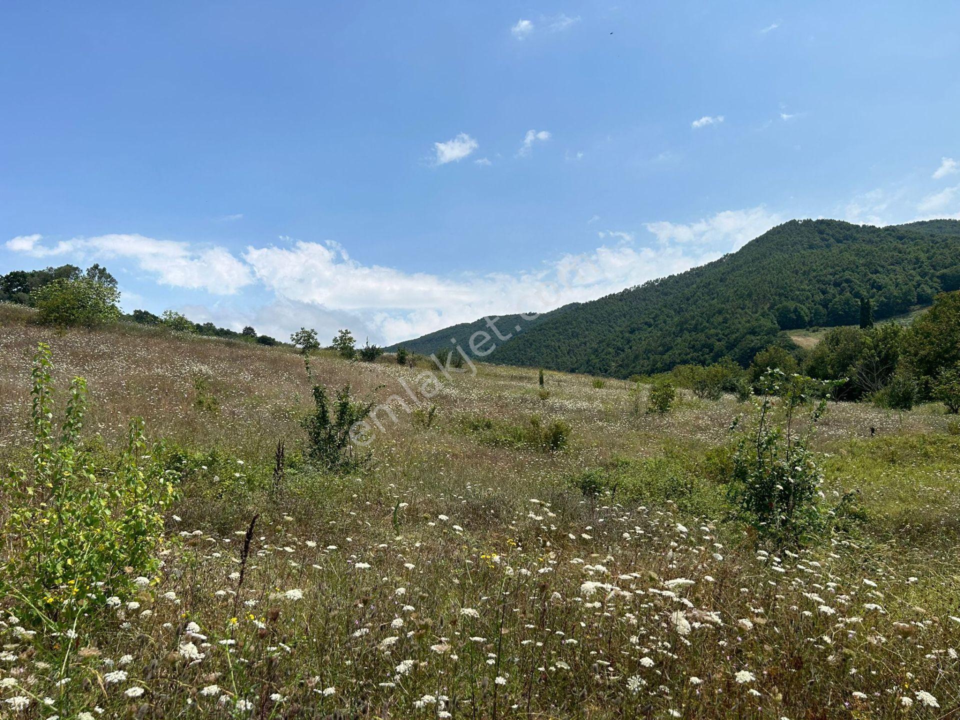 Kocaeli Karamürsel Akçat'da 8362 M2 Satılık Yatırımlık Tarla - Görsel 3