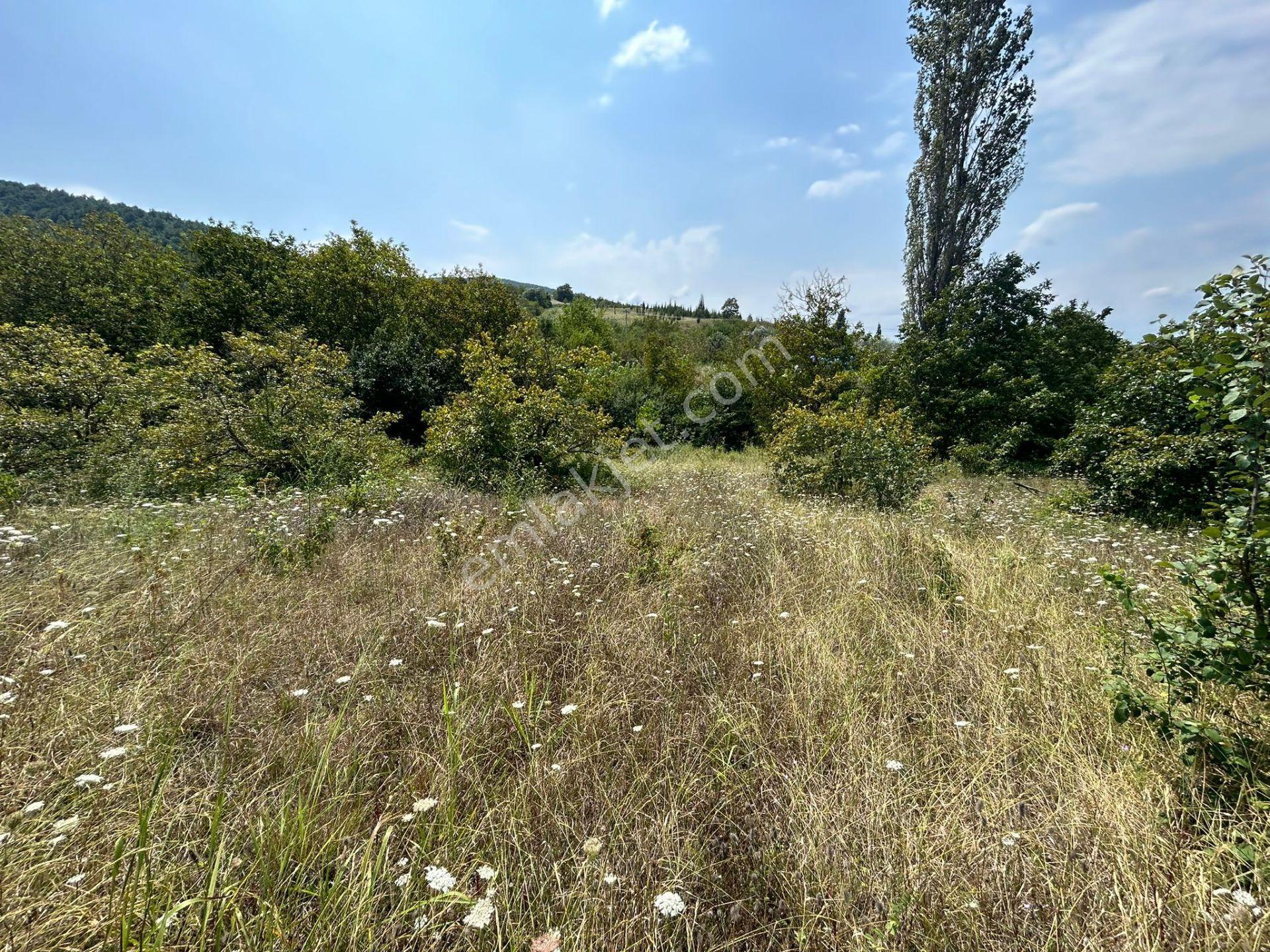 Kocaeli Karamürsel Akçat'da 8362 M2 Satılık Yatırımlık Tarla - Görsel 8