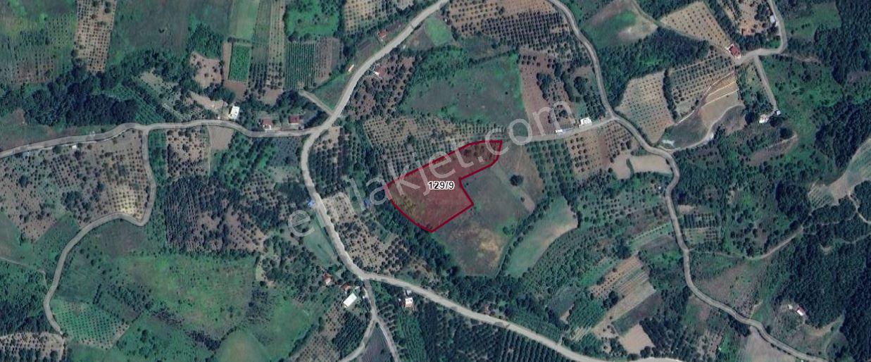 Kocaeli Karamürsel Akçat'da 8362 M2 Satılık Yatırımlık Tarla - Görsel 20