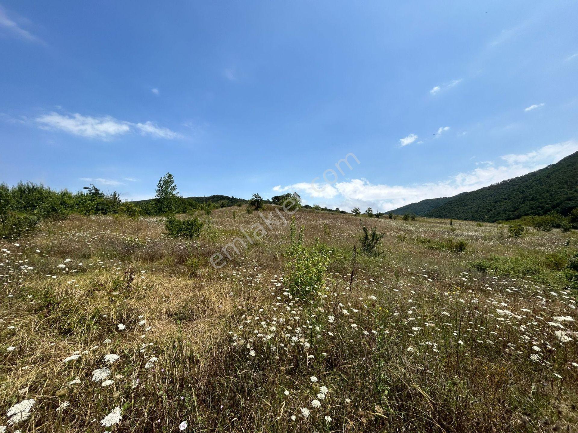 Kocaeli Karamürsel Akçat'da 8362 M2 Satılık Yatırımlık Tarla - Görsel 4
