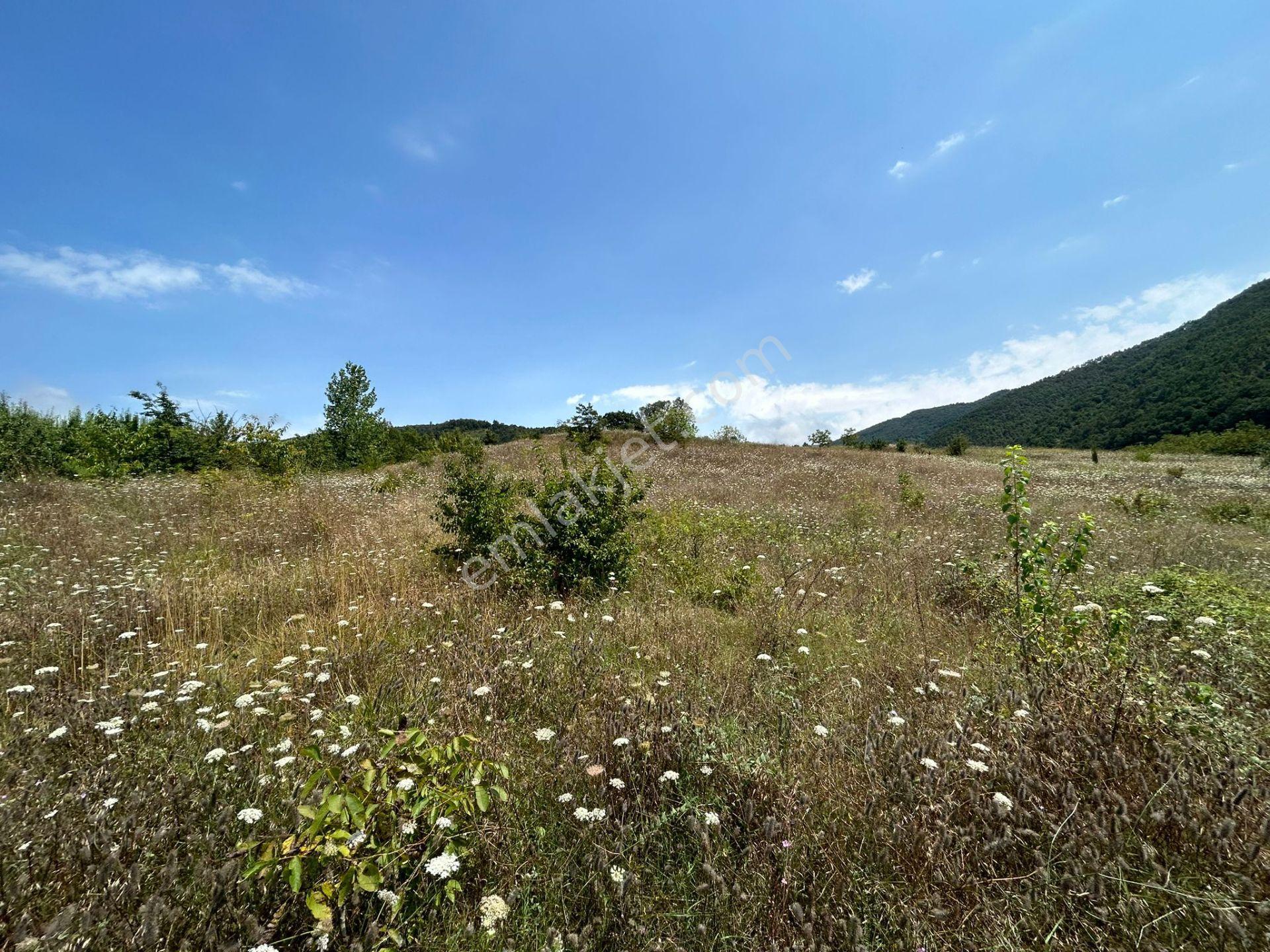Kocaeli Karamürsel Akçat'da 8362 M2 Satılık Yatırımlık Tarla - Görsel 15
