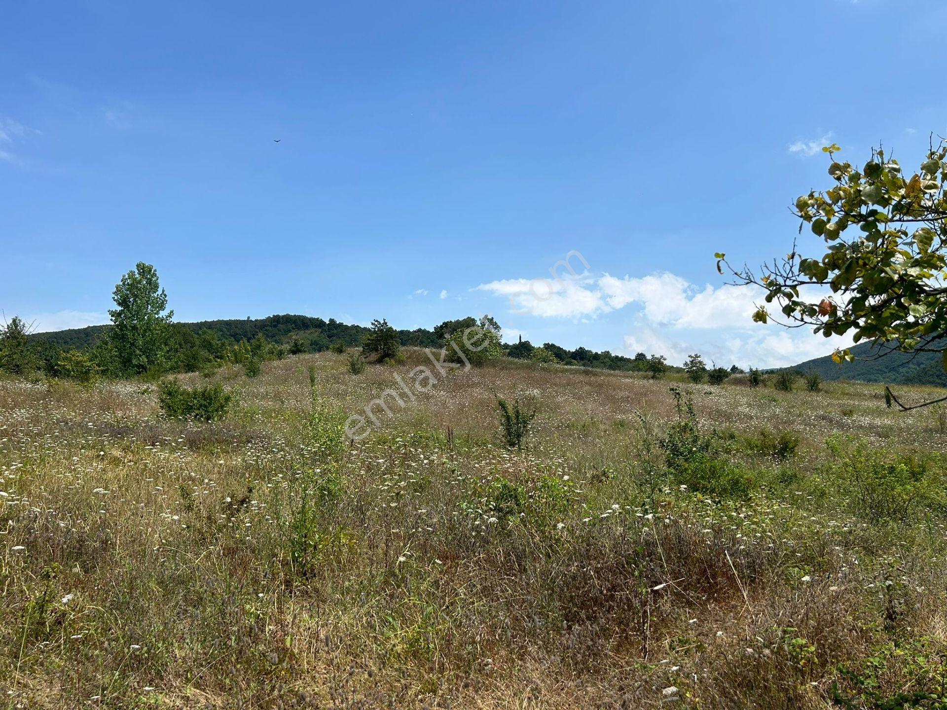 Kocaeli Karamürsel Akçat'da 8362 M2 Satılık Yatırımlık Tarla - Görsel 19