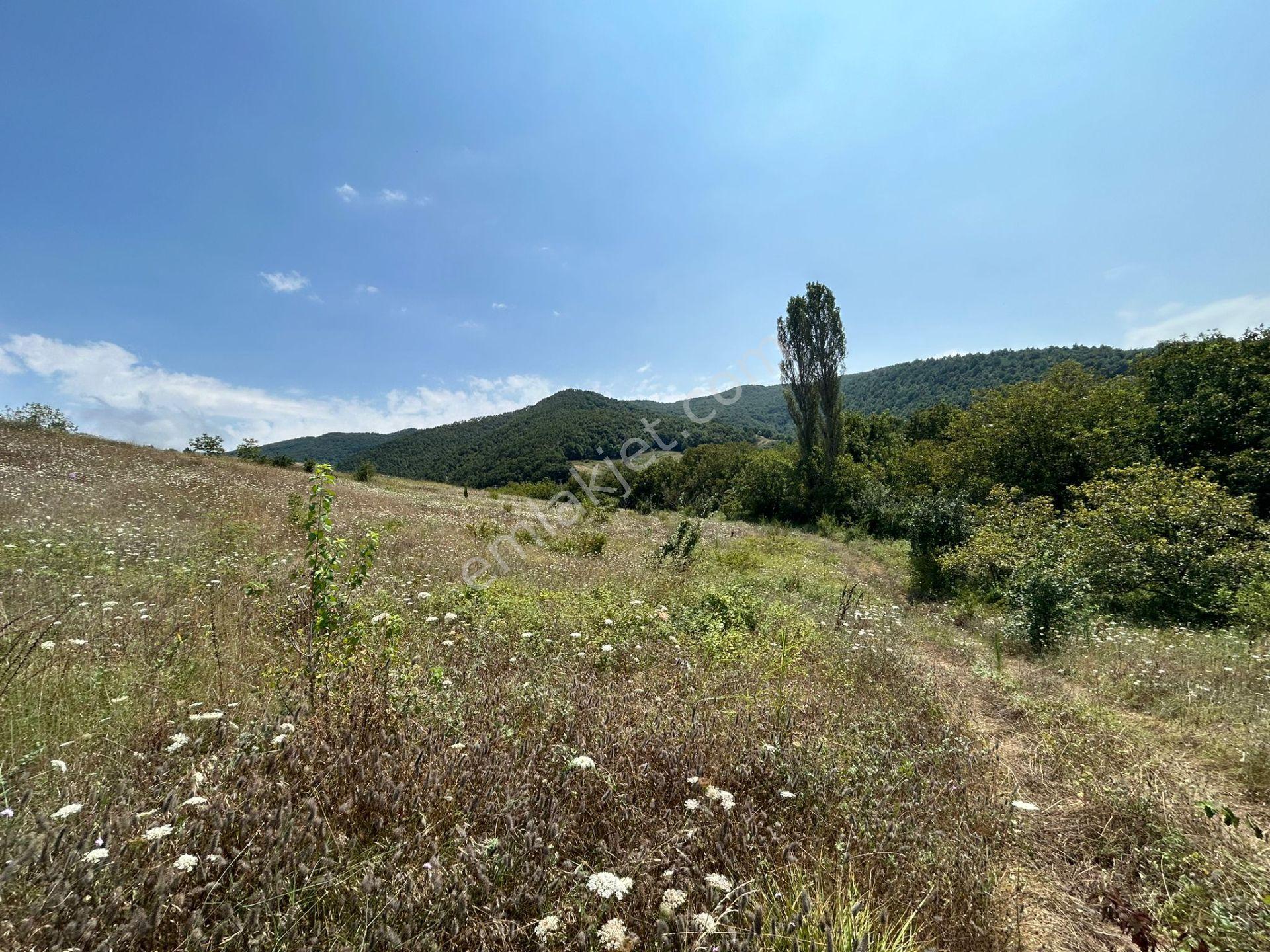 Kocaeli Karamürsel Akçat'da 8362 M2 Satılık Yatırımlık Tarla - Görsel 14