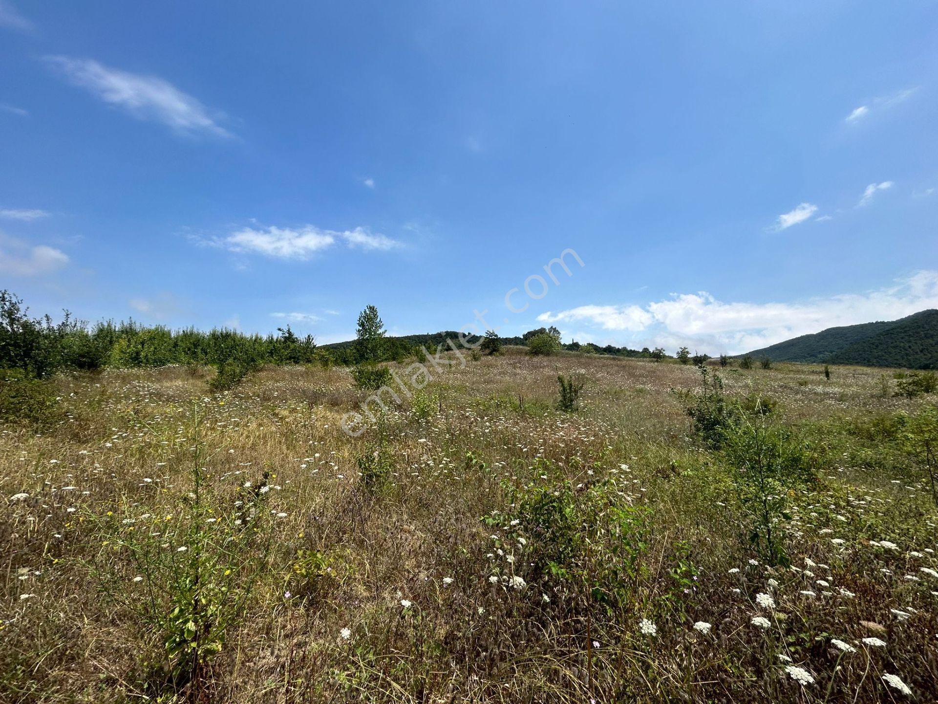 Kocaeli Karamürsel Akçat'da 8362 M2 Satılık Yatırımlık Tarla