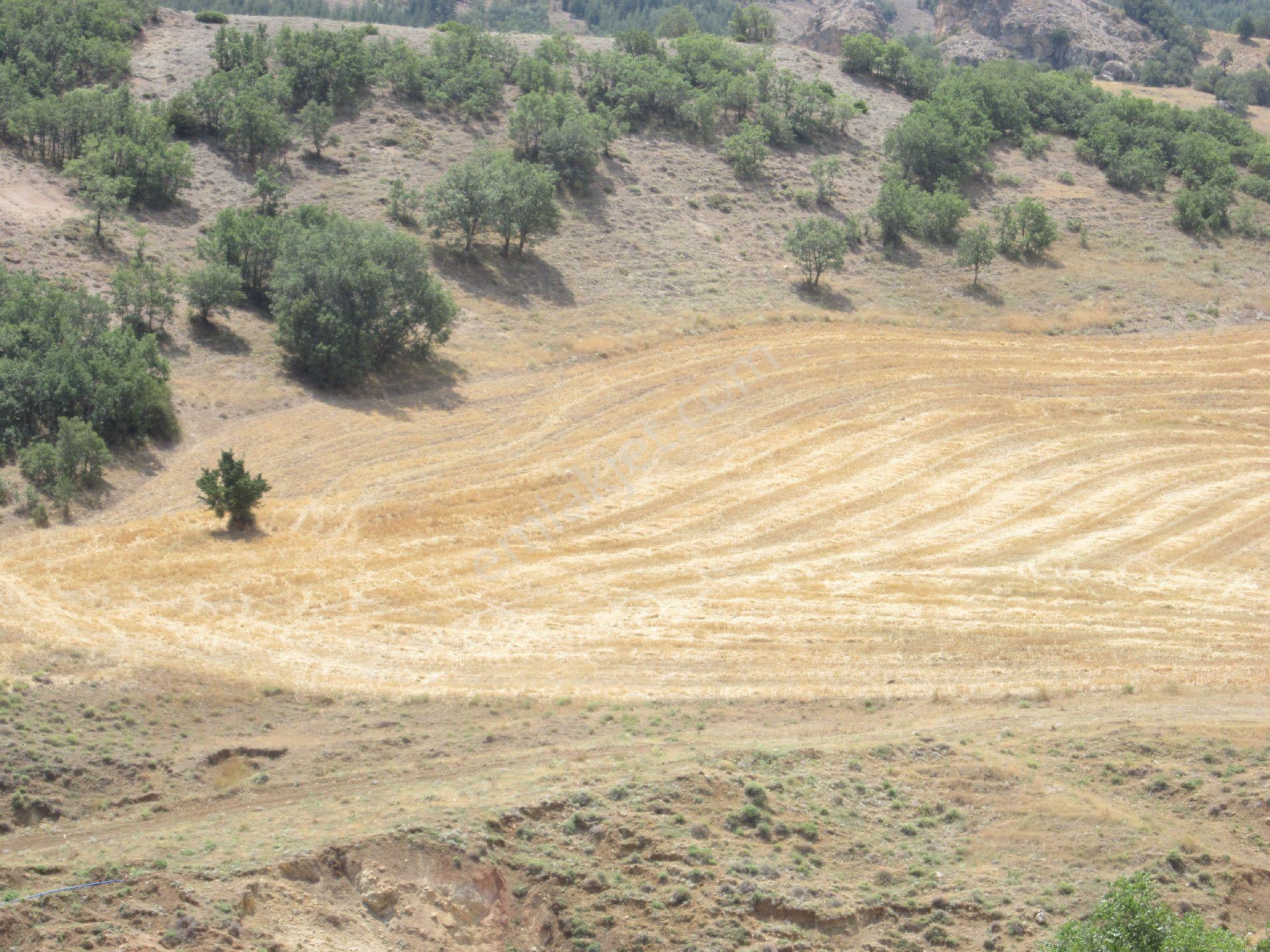 Satılık Tarla Karacahasan Köyü, Elmadağ, Ankara - Görsel 25