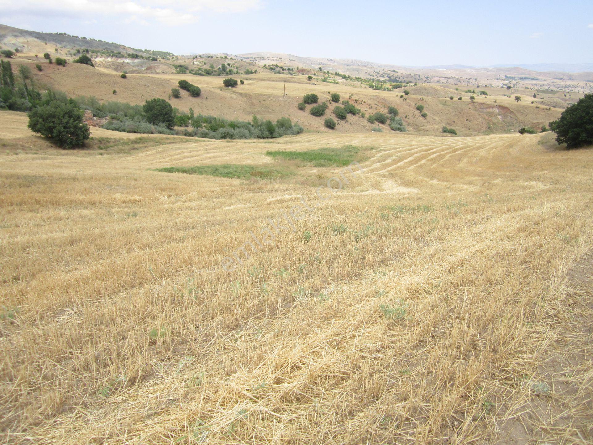 Satılık Tarla Karacahasan Köyü, Elmadağ, Ankara - Görsel 22