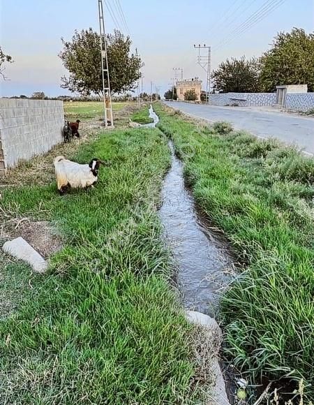 Kilis Merkez Yavuz Sultan Selim Satılık Tarla Çözüm Gayrimenkul Çiflik 7.5milyon