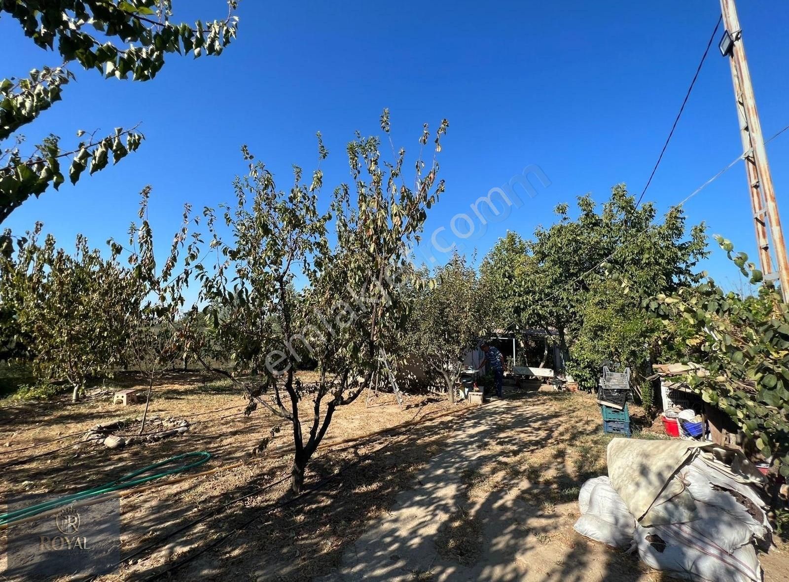 https://imaj.emlakjet.com/listing/13740524/46525C3DC091FBE92D0DAD9E4508987513740524.jpg
