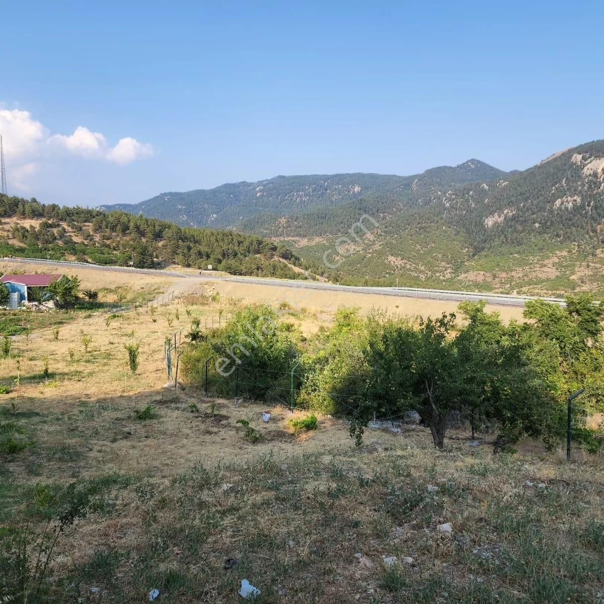 Pozantı Kar Emlaktan Fındıklı Yaylasında Satılık 2 Dönüm Ticari Konut Arsa - Görsel 7